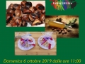 FamigliAttiva-caldarroste-per-S.ta-Giustina-2019